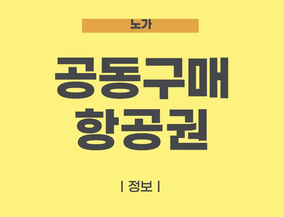 공동구매 항공권