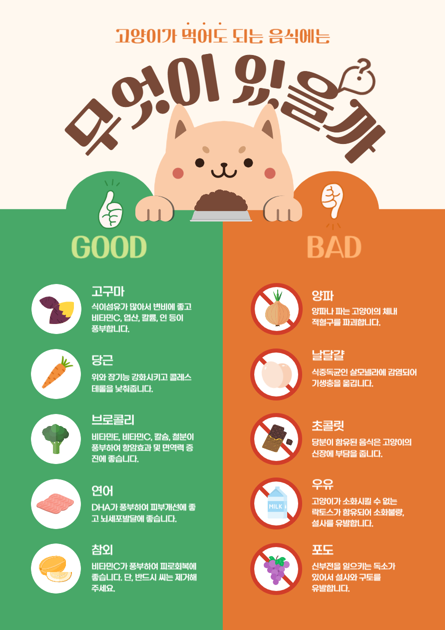 고양이 먹으면 안 되는 음식2