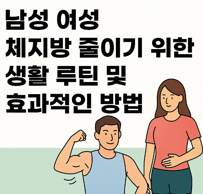 남성, 여성, 체지방 생활루틴