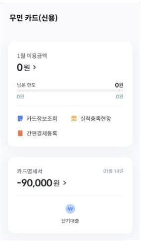IBK기업카드-결제대금