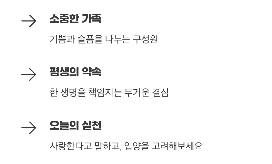 1년 365일, 언제나 함께