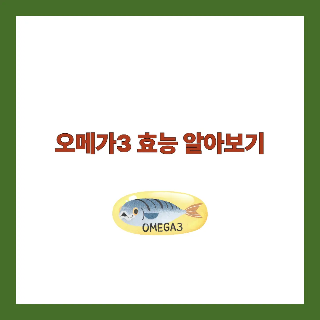 오메가3 효능
