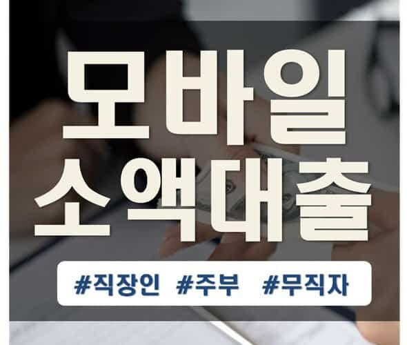 소액대출