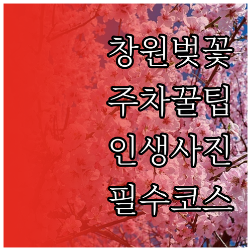 창원 성산구 벚꽃 축제 기간 방문 정..