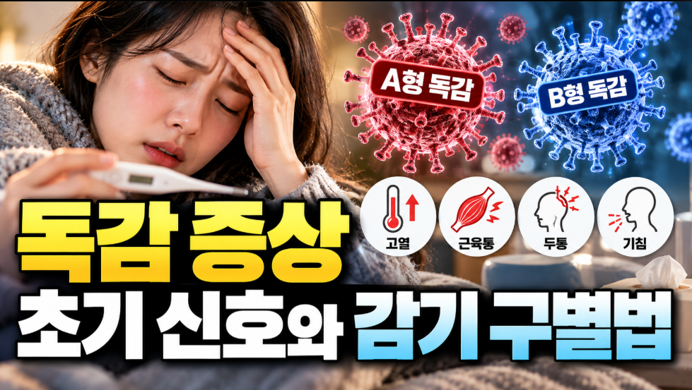 독감 증상 정보 정리