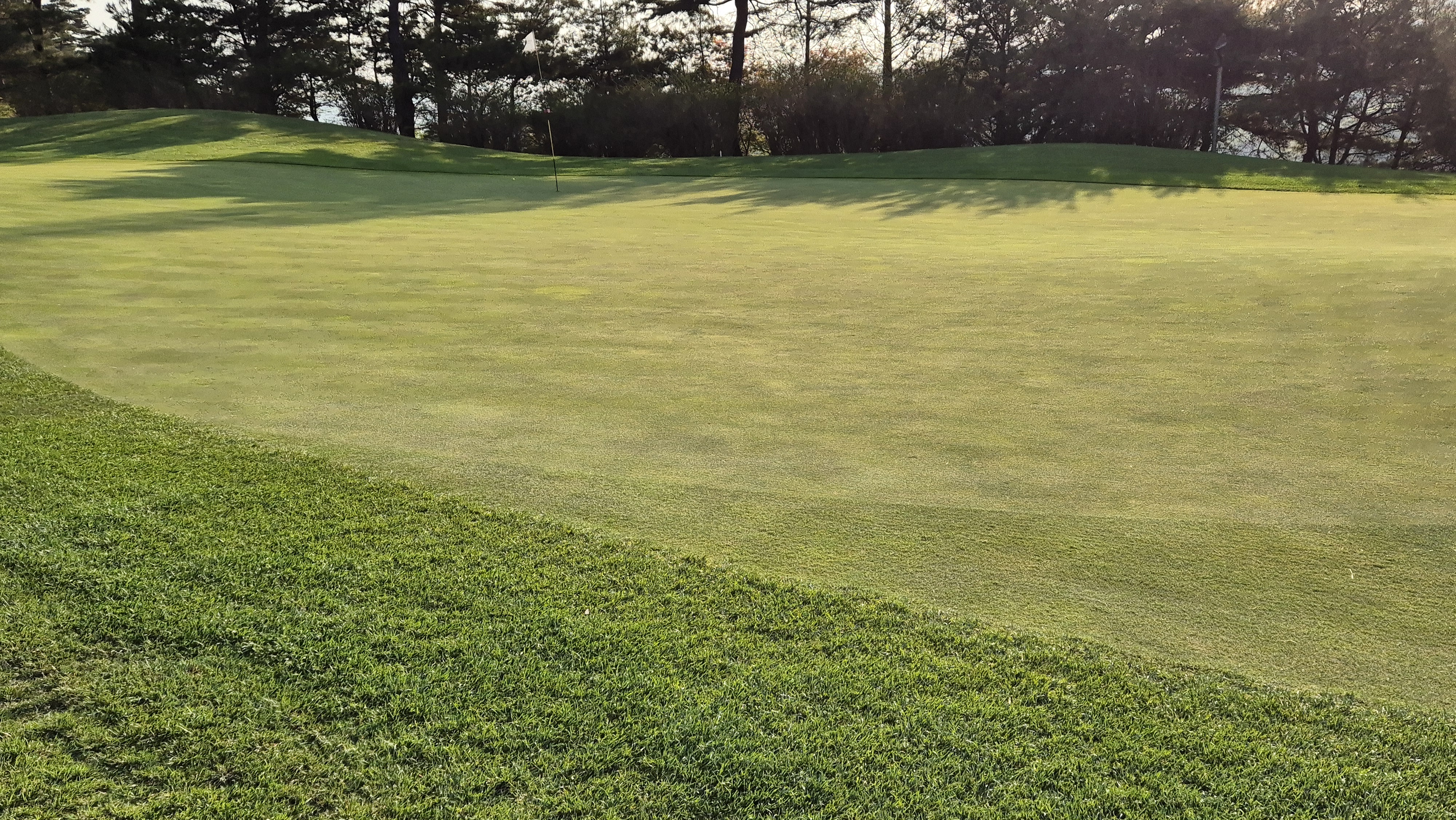 소노펠리체cc 비발디파크 웨스트