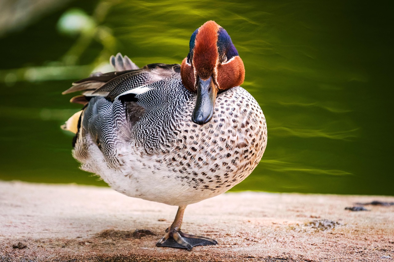 2025 실수령액 계산기