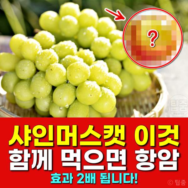 샤인머스켓 효능,라스베라톨 효능,전립선에 좋은음식,팁줌