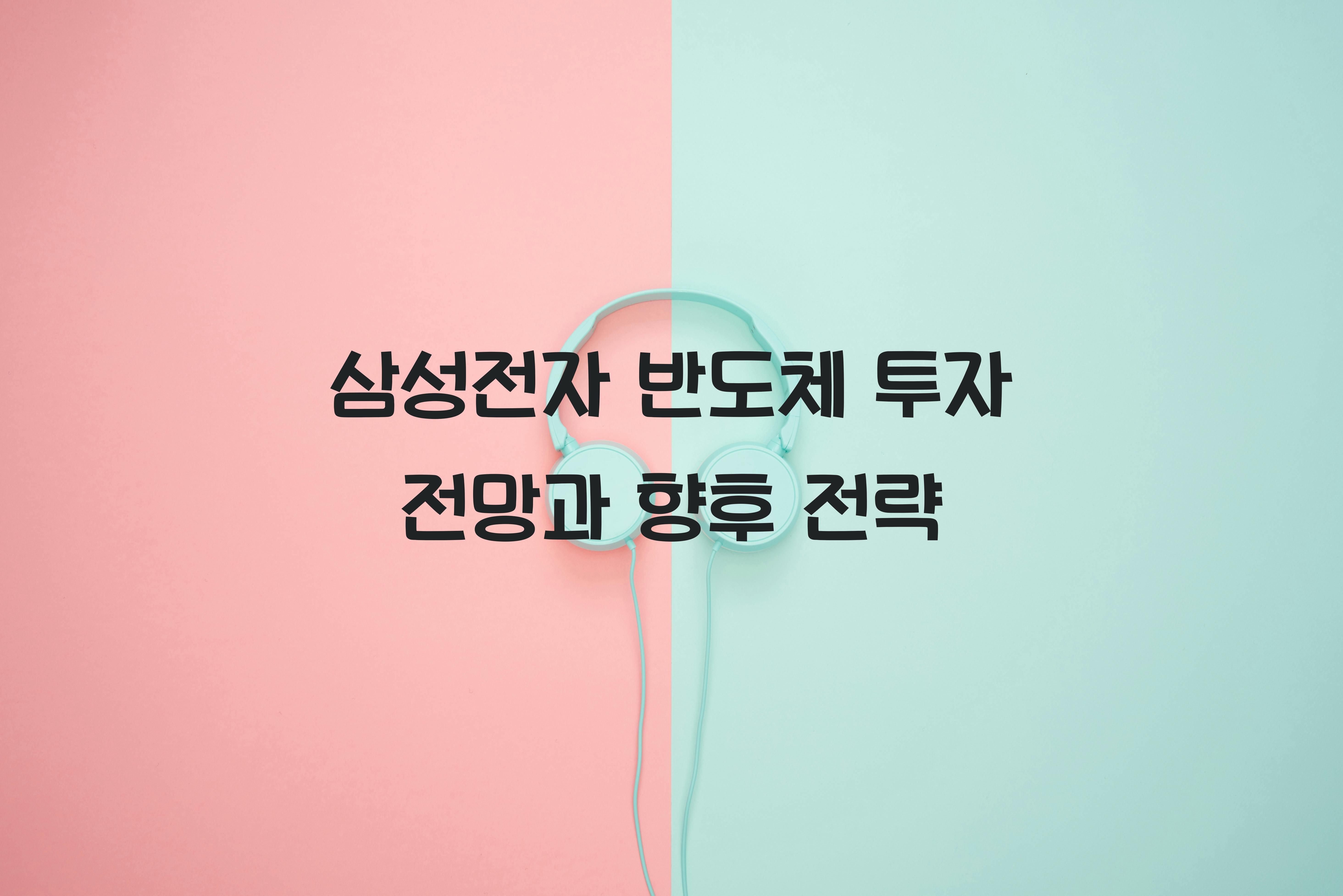삼성전자 반도체 투자 전망