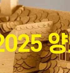 2025 양도소득세