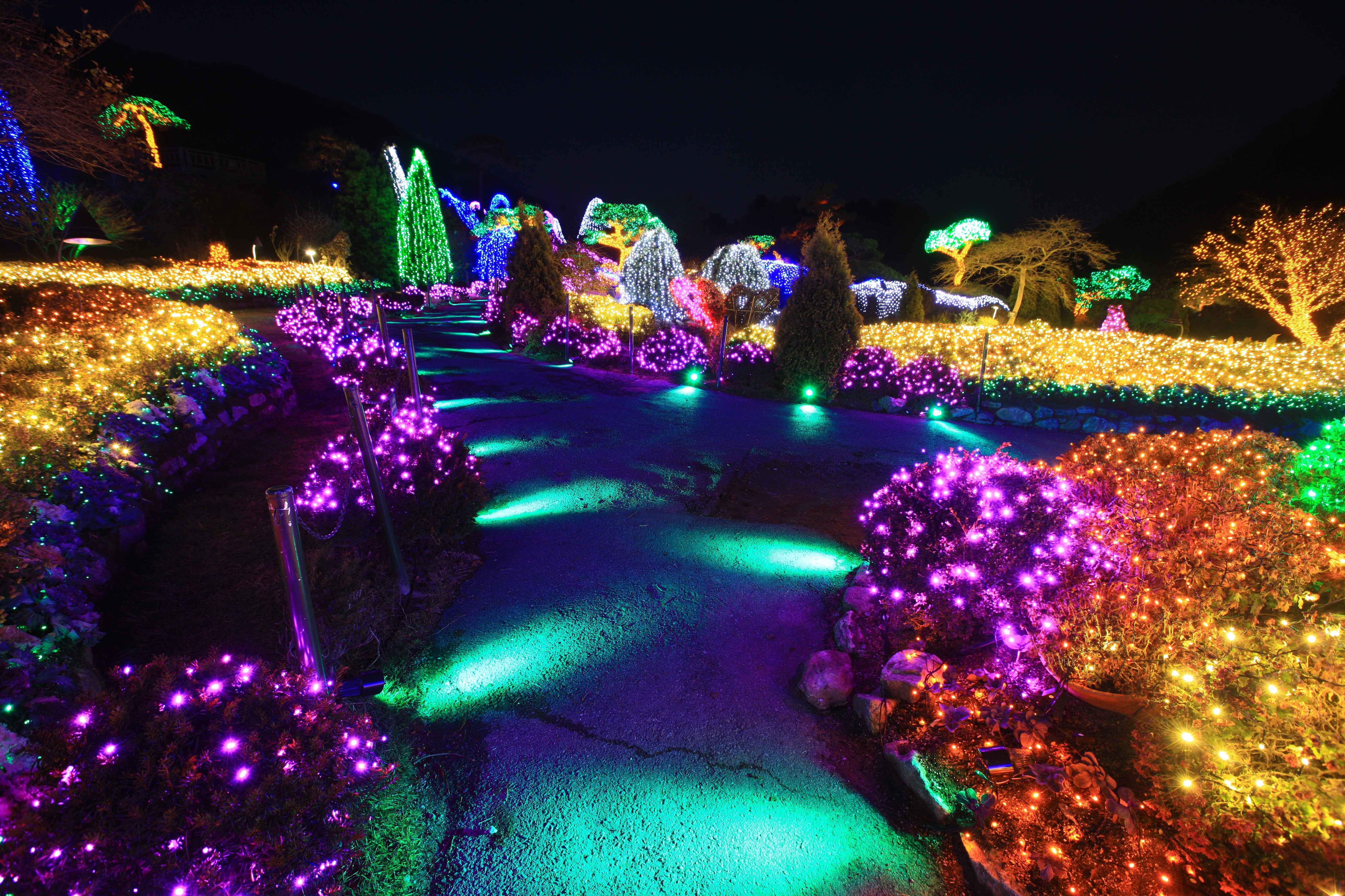 아침고요수목원
