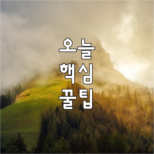 자동차등록증 재발급, 더 이상 헤매지
