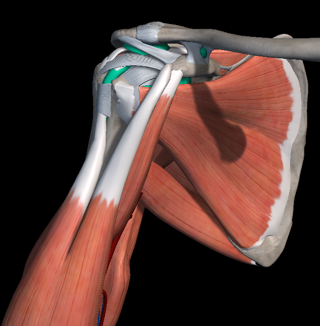 어깨 통증 원인 증상 치료법
