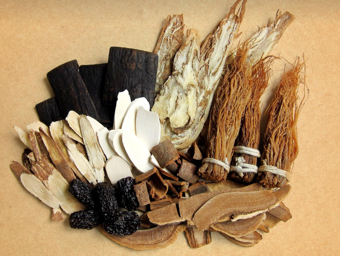 면역력 강화에 좋은 약초