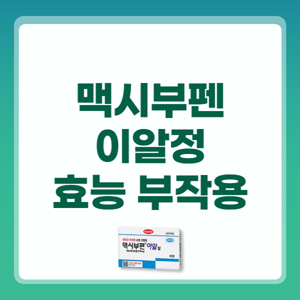 맥시부펜 이알정 성분 효능 복용법 주의사항