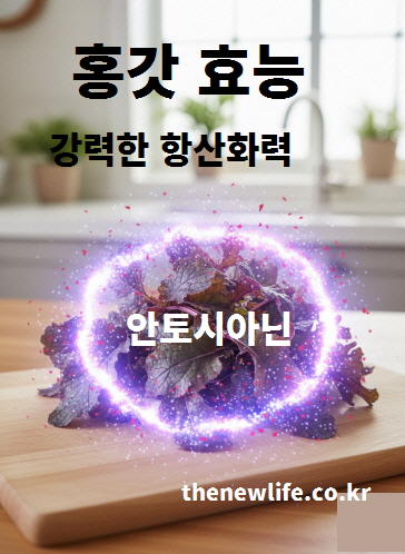홍갓 효능 - 보랏빛 안토시아닌이 풍부해 강력한 항산화 작용과 세포 노화 억제에 도움을 주는 이미지