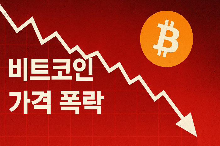 비트코인 폭락