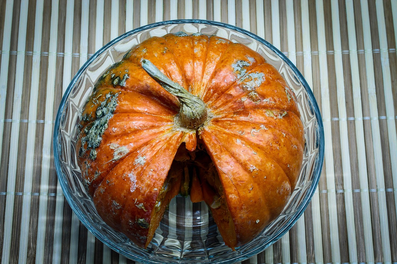 2025 여름 꼭 알아야 할 식중독 대처법 (예방식단, 증상별 대처)