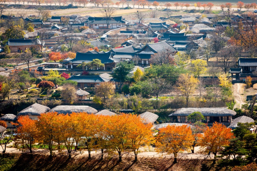 안동 하회마을 초가을 정취