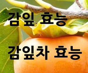 감잎차 효능