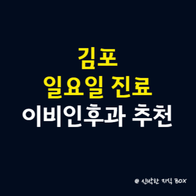 김포 일요일 진료 이비인후과, 후기 좋은 이비인후과 병원 추천