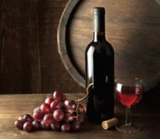 2025/2026 알펜시아 리조트 스키장 시즌권 완벽 가이드