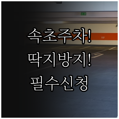 속초시 주정차 단속 알림 서비스 신청..