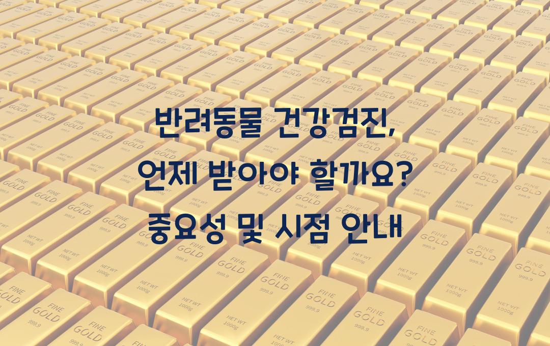 반려동물 건강검진, 언제 받아야 할까?