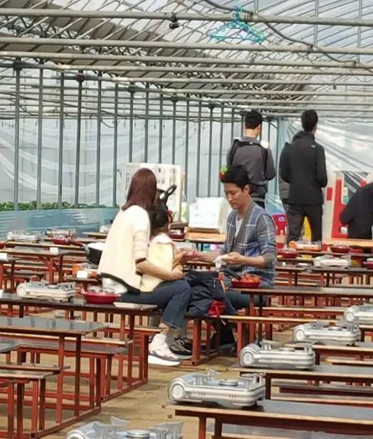 더드림딸기체험농장