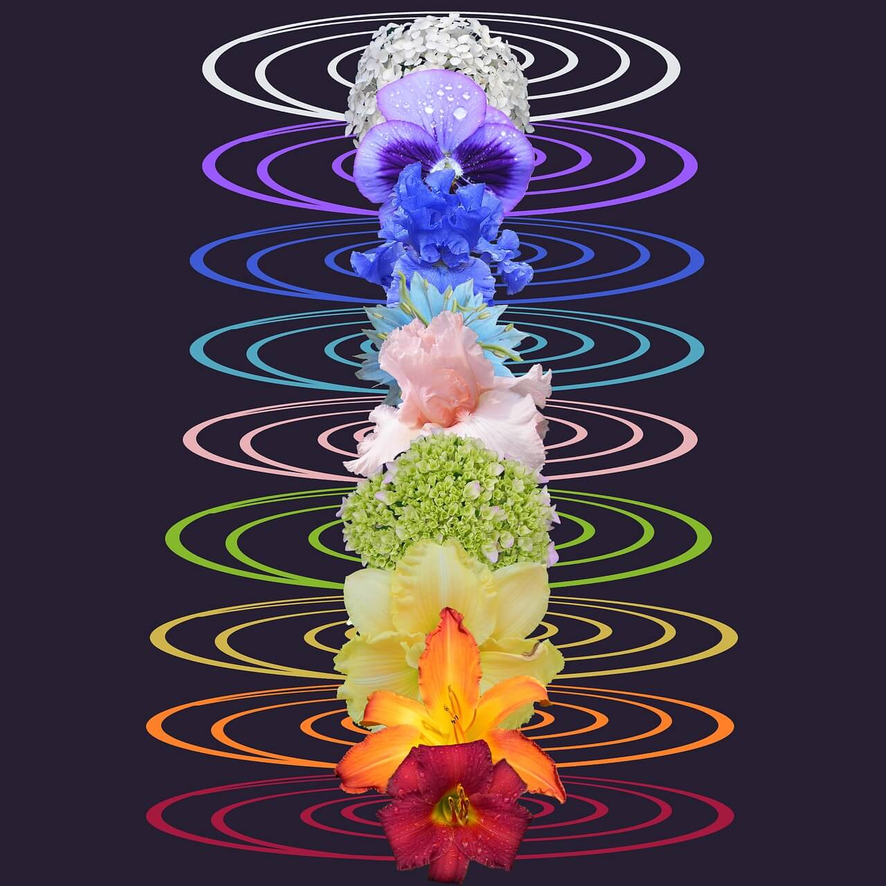 면역력 지키는 명상법