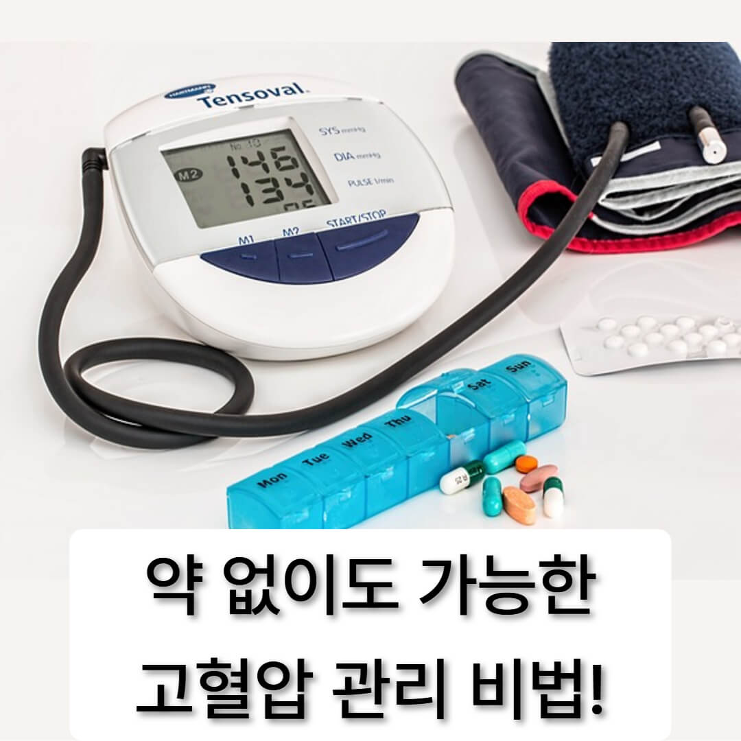 고혈압 잡는 식단과 생활법