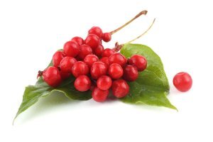 갱년기에 좋은 음식