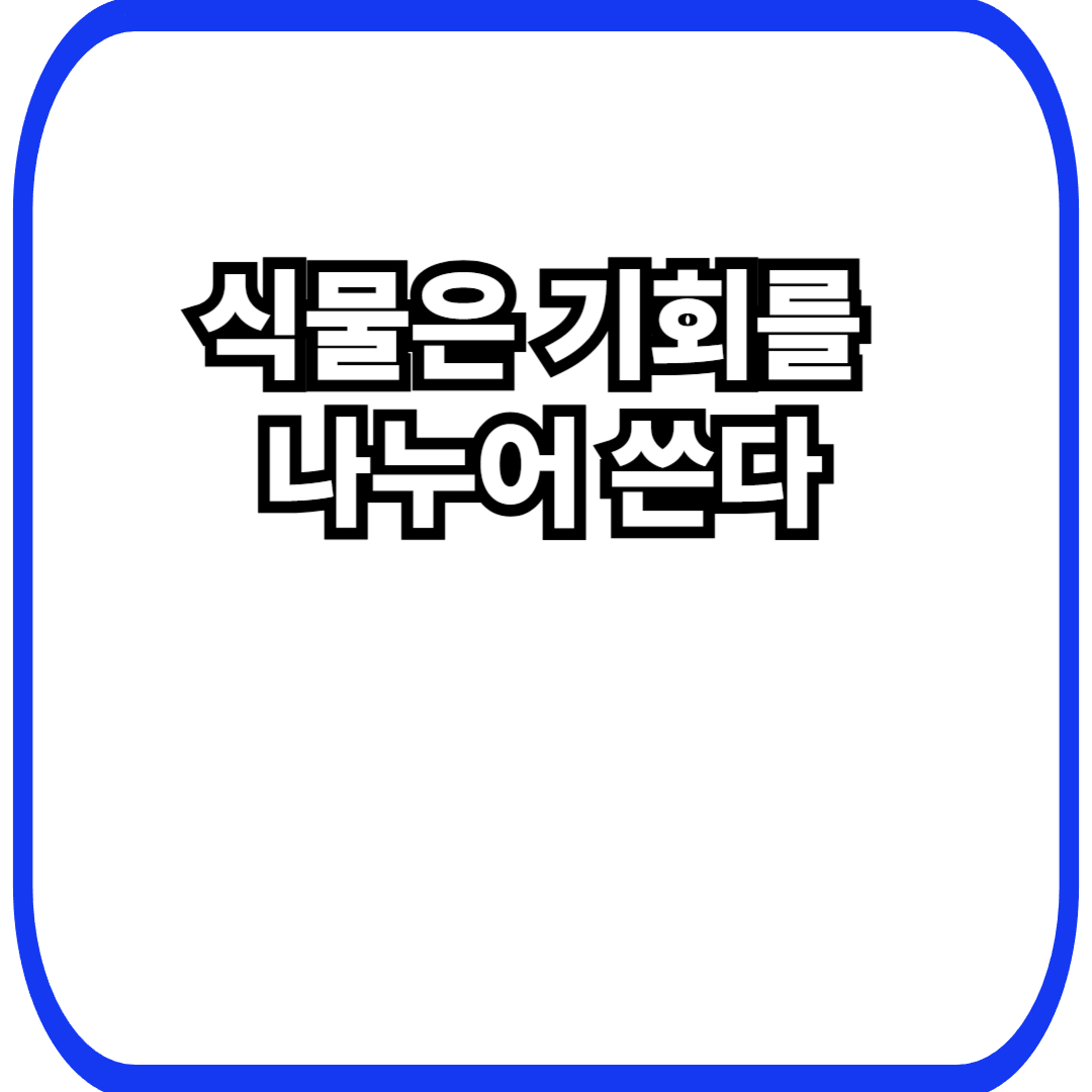 식물 기회 분산 전략에서 시작되는 생존 설계, 한 번에 모든 것을 걸지 않는 선택의 이유