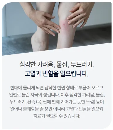 세스코 빈대 증상