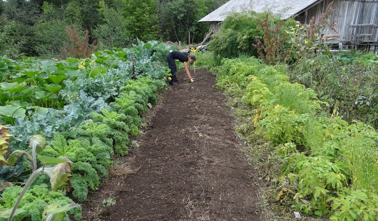 농업창업 및 전원생활을 위한 무료교육 참여자 모집
