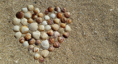 바다의 청소부 여과 섭식 동물들의 중요한 역할과 핵심