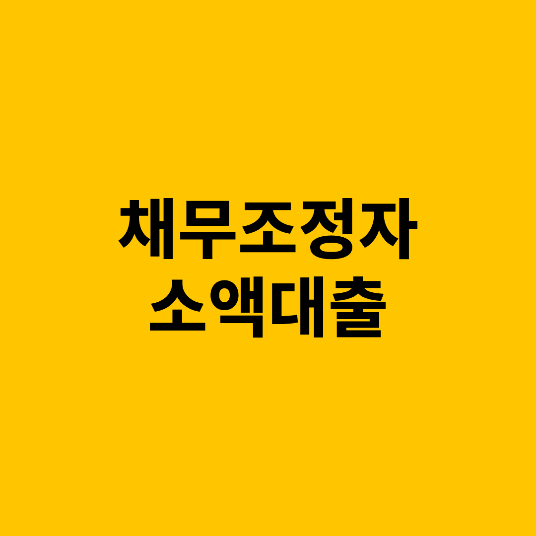 채무조정자 소액대출