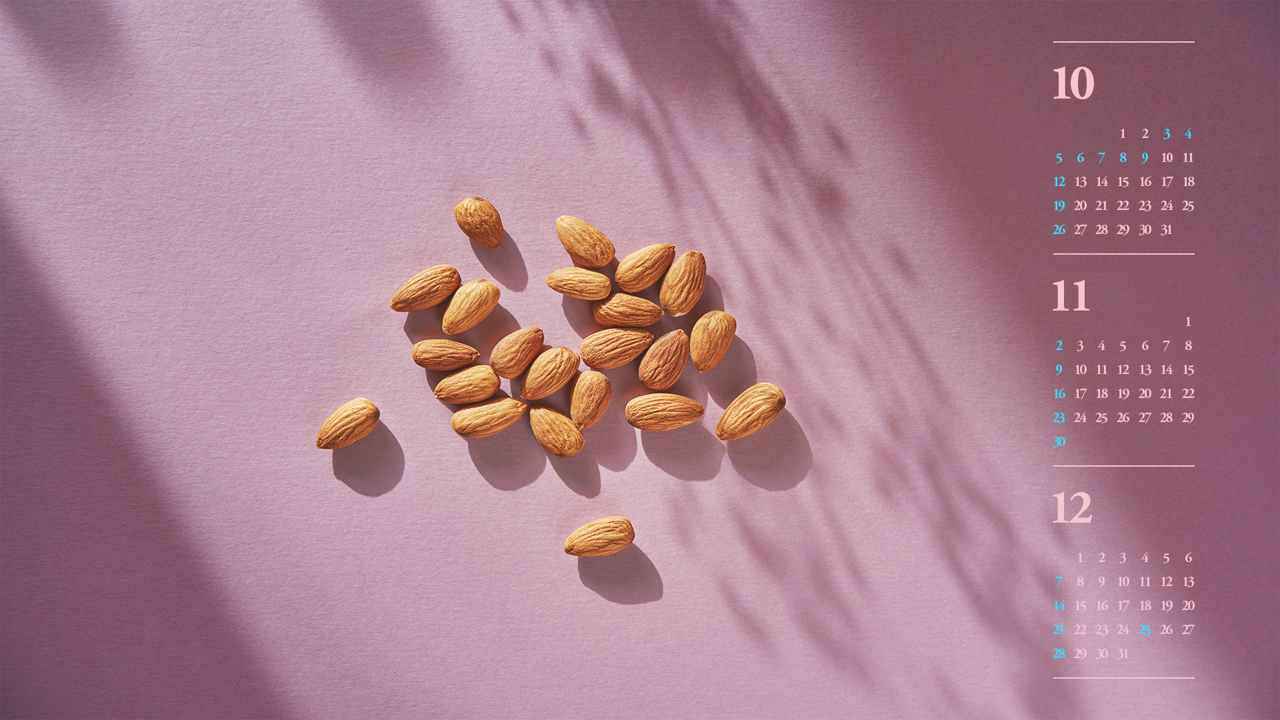 05 아몬드 B - 2025년11월 노트북배경화면