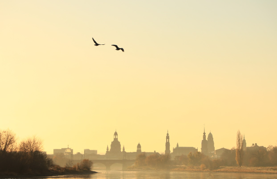 새벽 5시의 여행 해 뜨기 전 도시의 특별한 매력