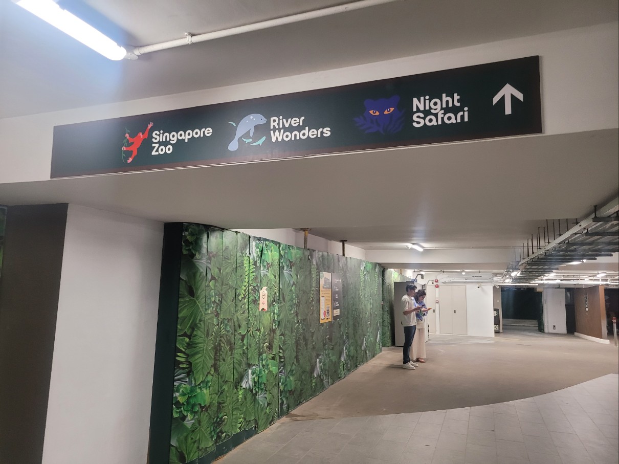 싱가포르 나이트사파리