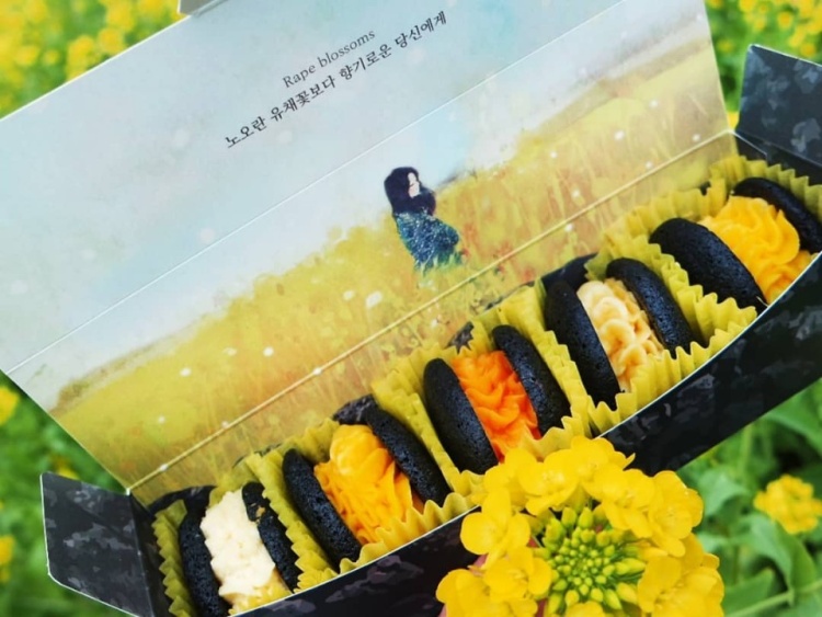 제주도 감성 디저트, 제주 맛있고 예쁜 기념품 추천 리스트 BEST 7
