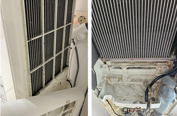 LG, 삼성, 캐리어, 위니아 에어컨 무상점검