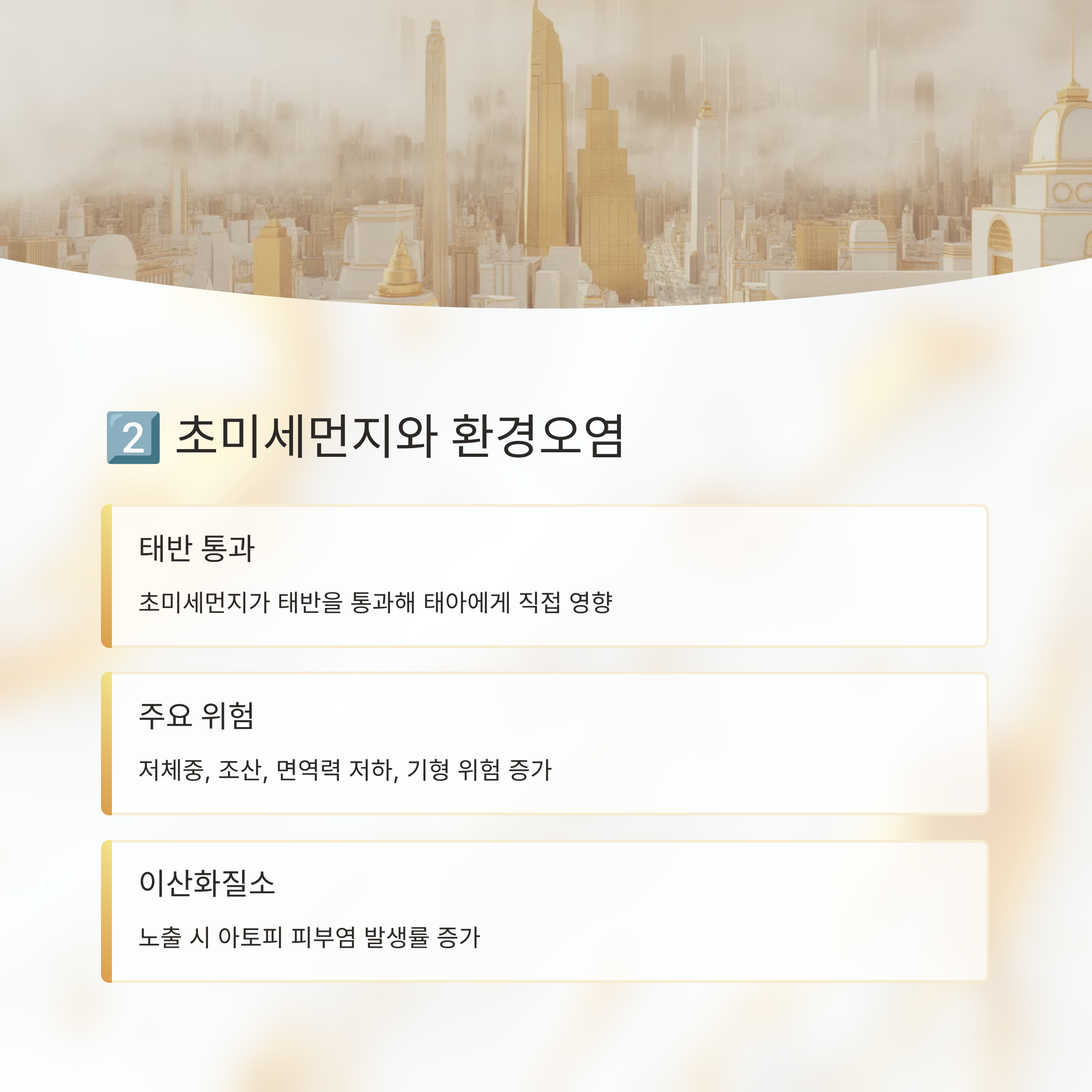 초미세먼지 및 환경오염이 태아에게 미치는 영향을 다룬 인포그래픽으로, 도시 스모그 배경과 주요 위험 요인이 설명된 이미지