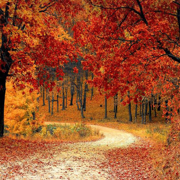 10월 여행지 베스트