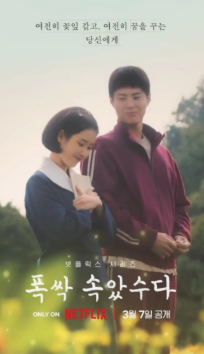 폭삭속았수다 유채꽃밭 촬영지