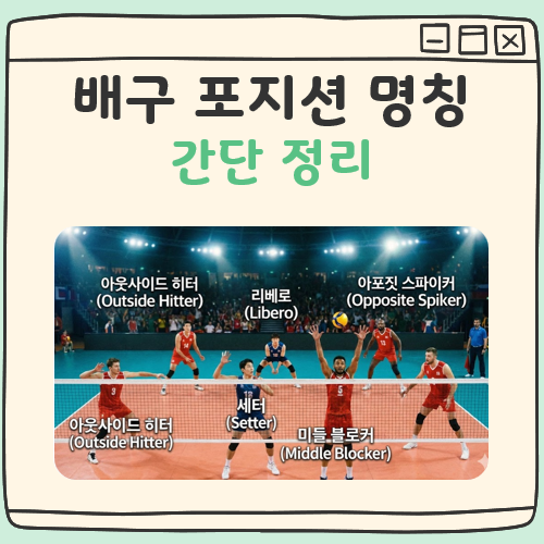 배구 포지션 명칭 대표 이미지