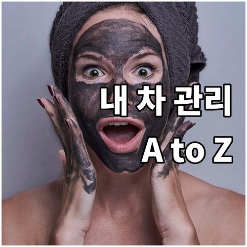 🚗🚕🚙 내 차는 내가 지킨다! 자동차