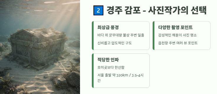 경주 감포