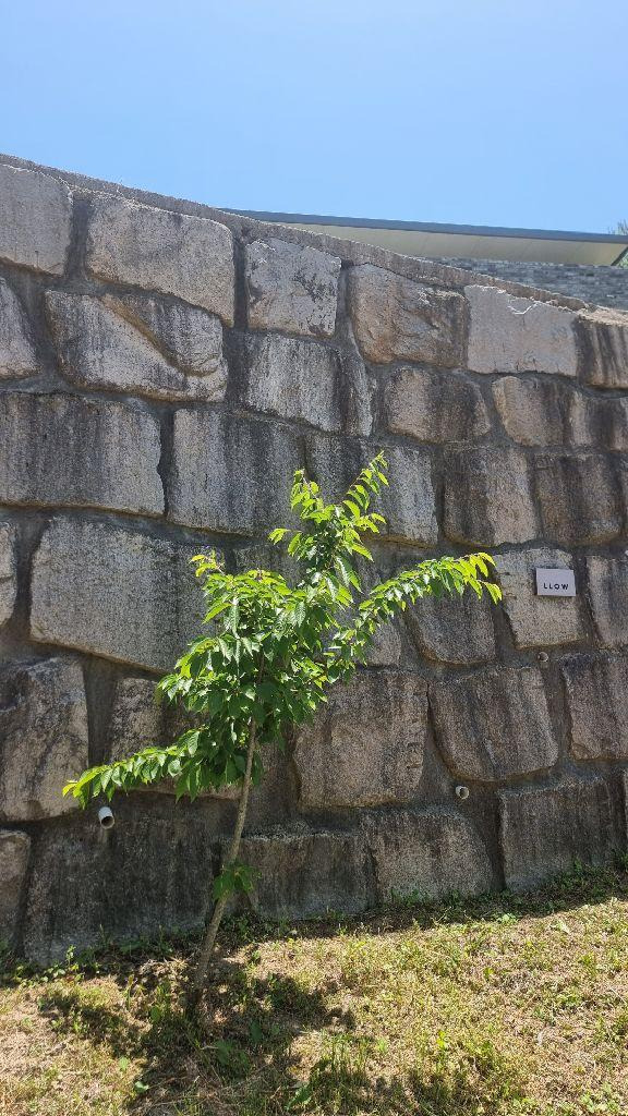 경주 가볼만한 곳 베스트 10 (2025 최신판)