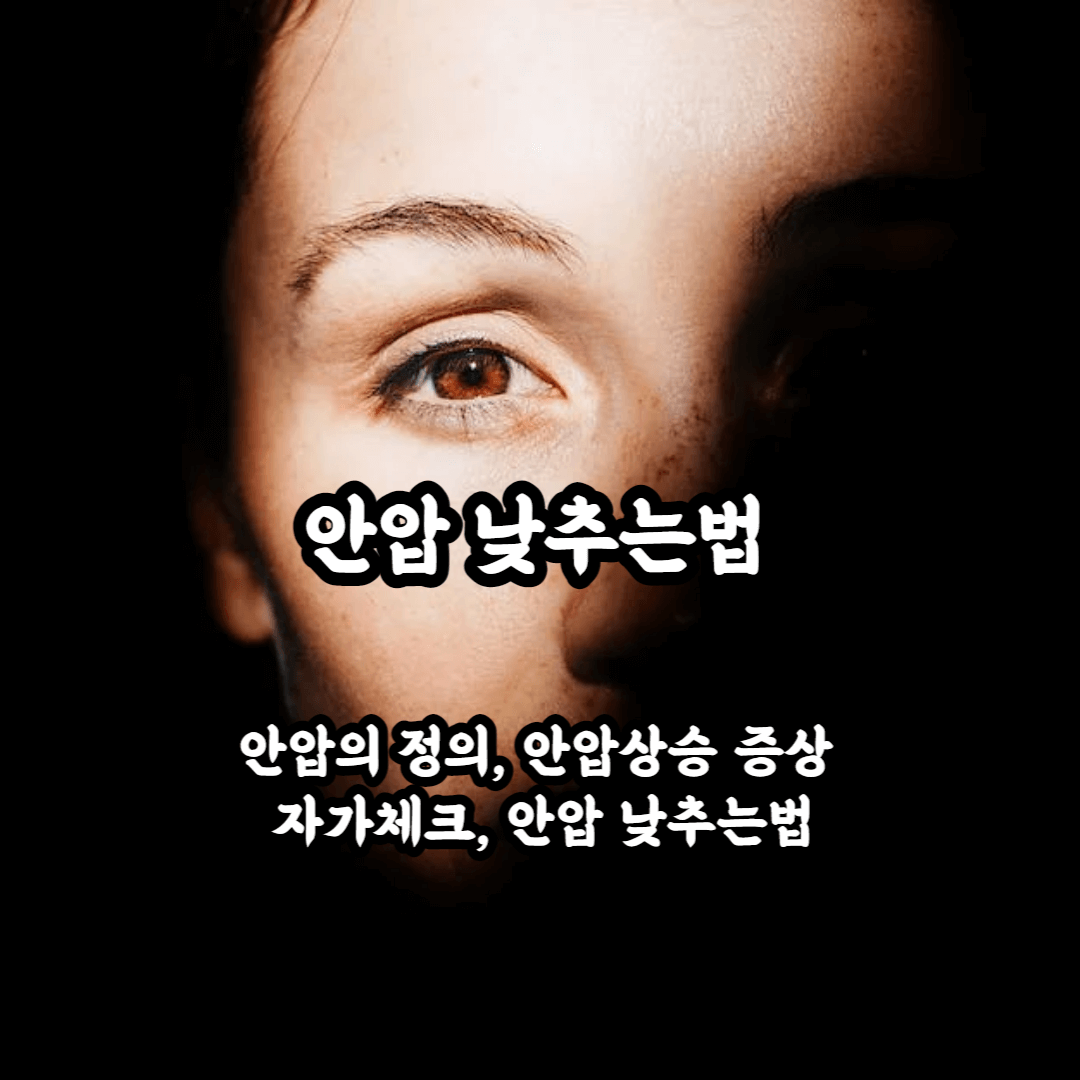 안압 낮추는법 안압의 특징 안압 상승의 증상 자가체크 방법 안압 낮추는 방법 총정리